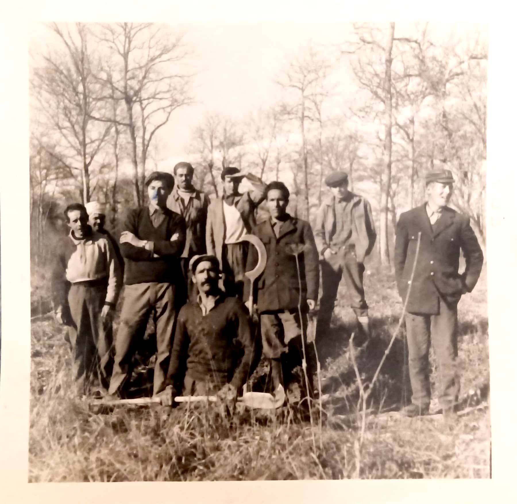 Harkis en forêt du hameau d'Is-sur-Tille