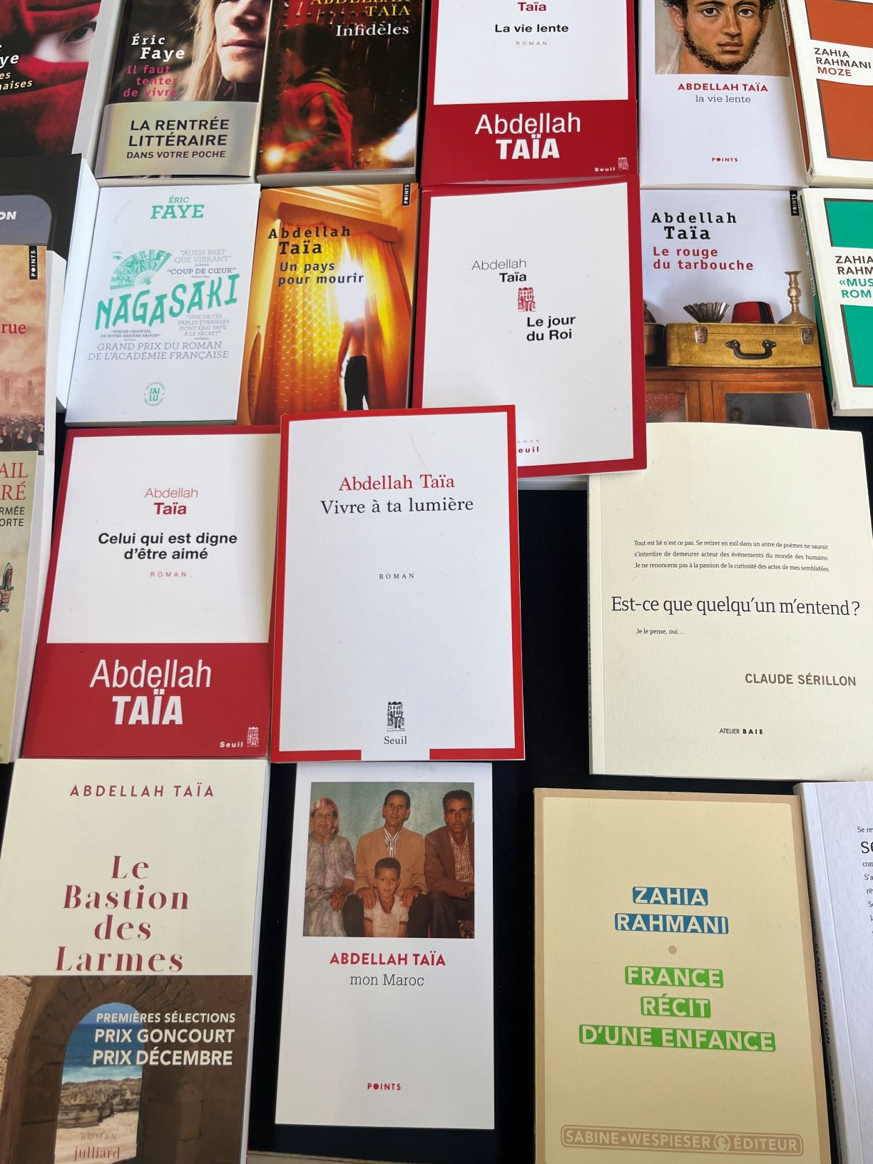 Une partie des oeuvres à découvrir au festival littéraire « Lumières de Livres » Amiens 04/10/2024 @InèsRAGOT/CNIH