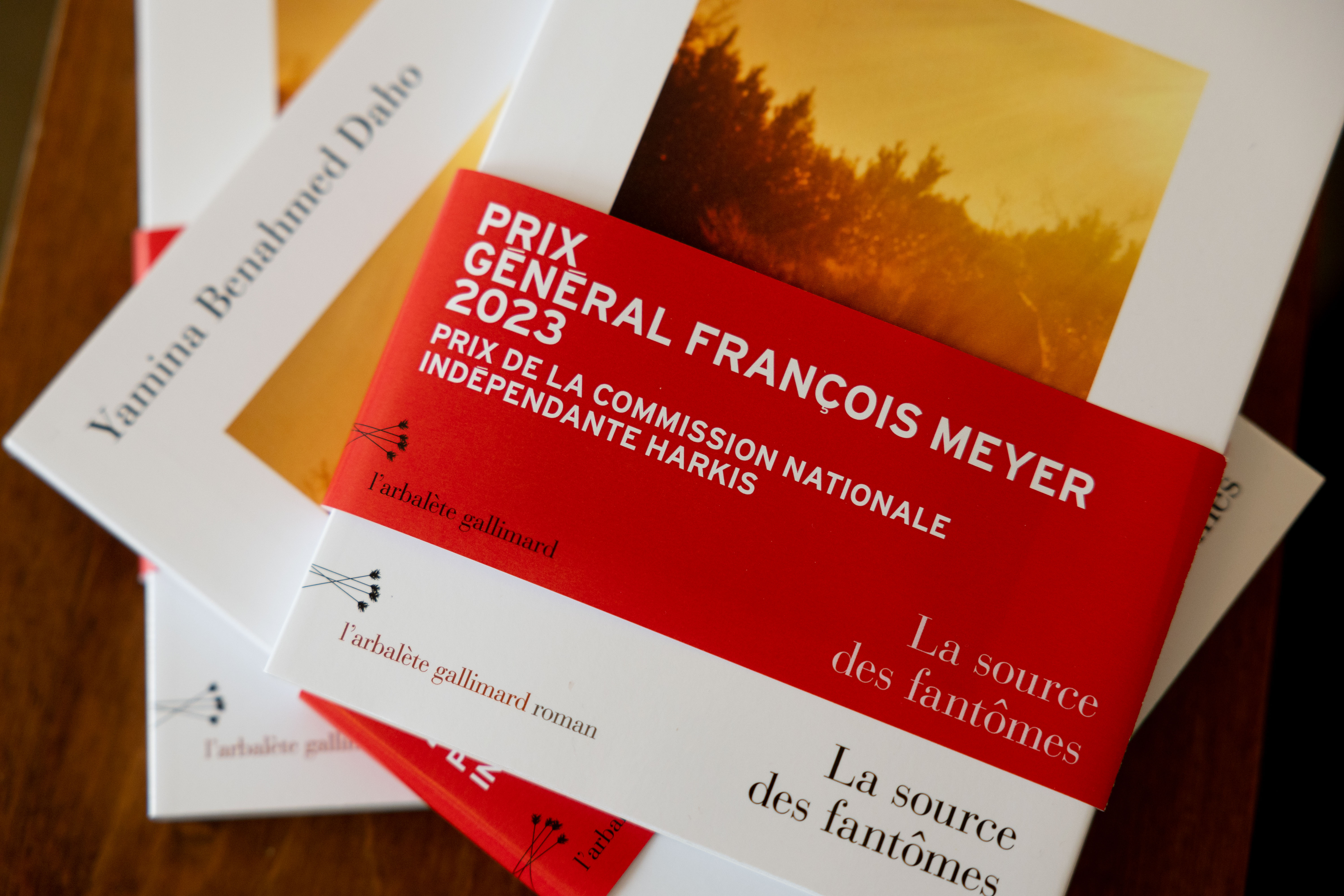 Vue de la couverture du livre primé La source des fantômes portant le bandeau du prix général François Meyer en couverture Vue de la couverture du livre primé La source des fantômes portant le bandeau du prix général François Meyer en couverture