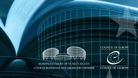 représentation stylistique de la Cour européennne des droits de l'Homme