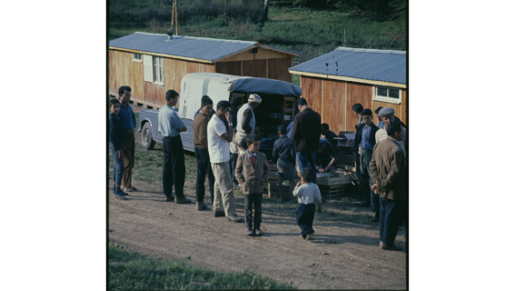 Camp de Harkis en Lozère